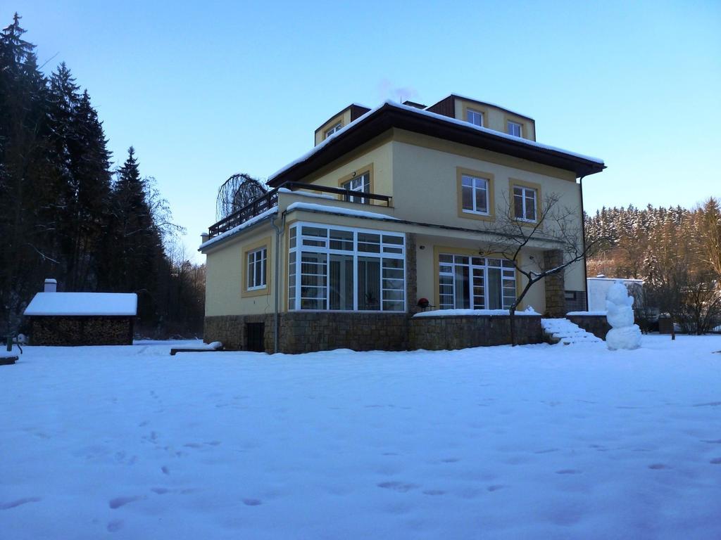 Penzion Továrníkova vila Hotel Skuhrov nad Belou Exterior foto