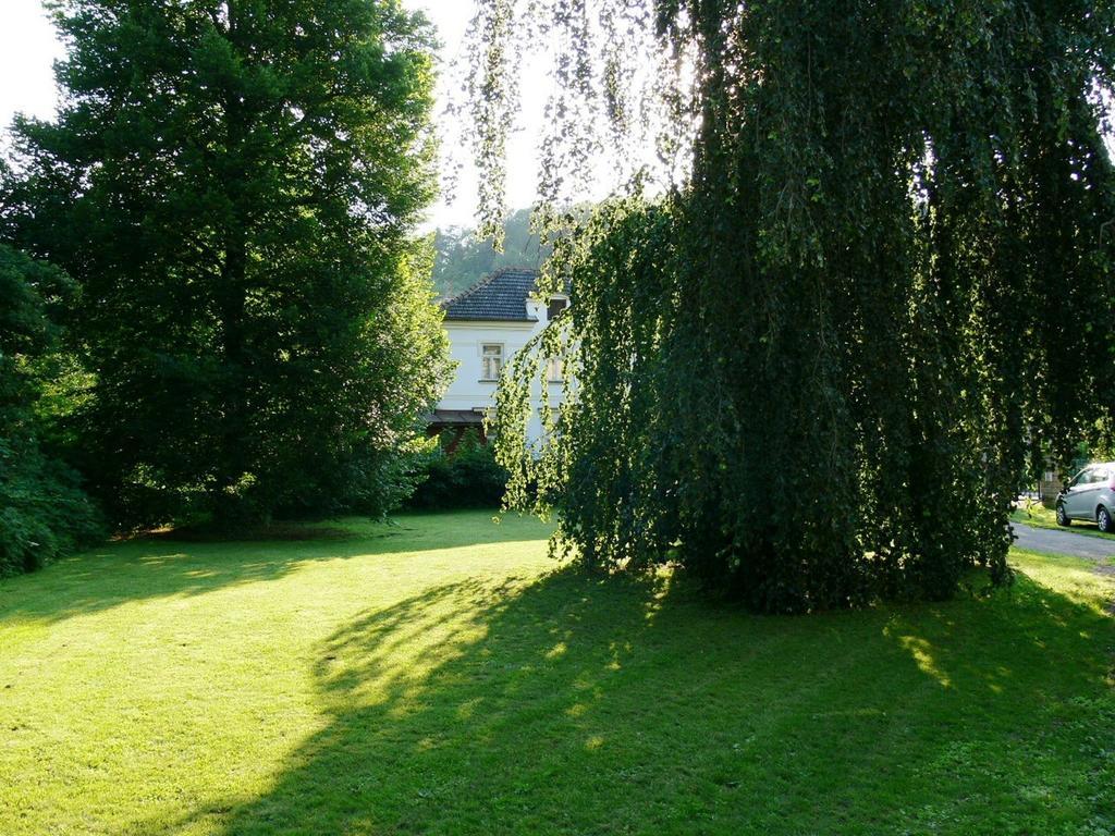 Penzion Továrníkova vila Hotel Skuhrov nad Belou Exterior foto